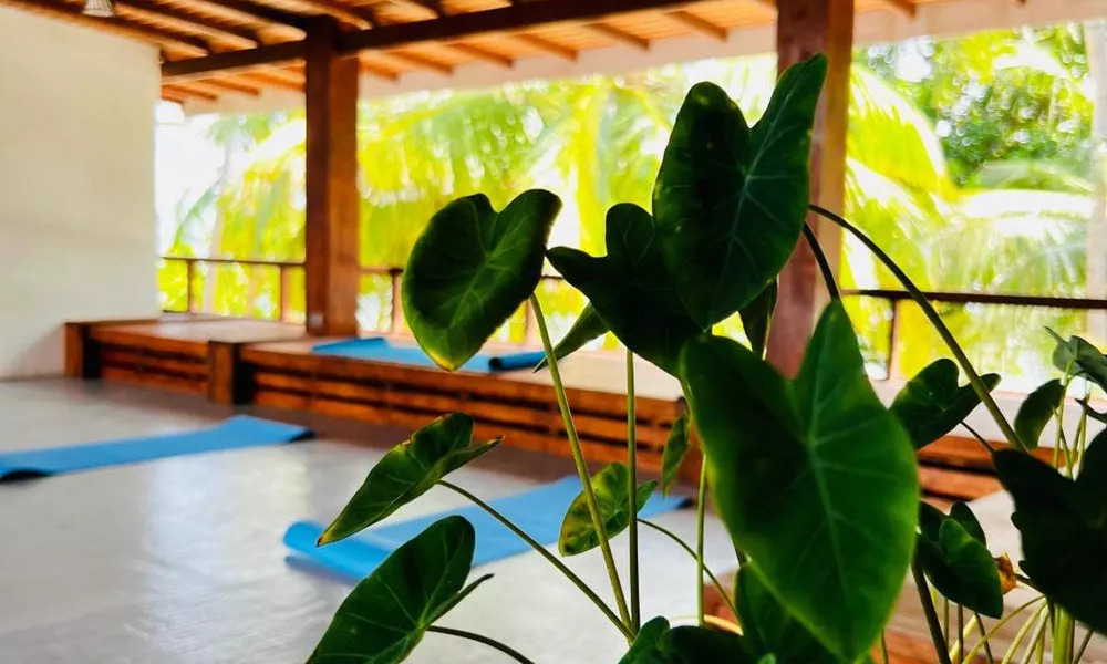 Aveyla Manta Village, фото 4