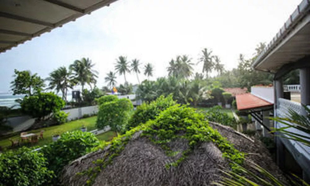 The Caribbean Gate, фото 2