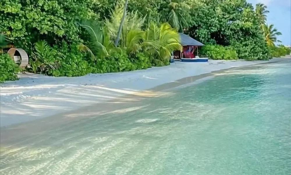 Thoddoo Ocean Front, фото 4