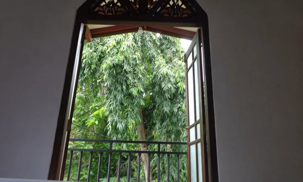 DiNi Galle, фото 4