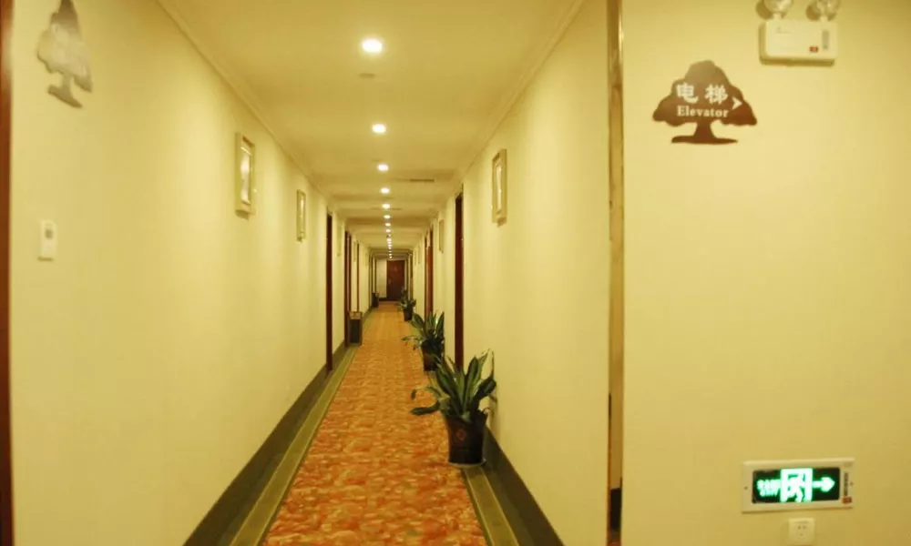 GreenTree Inn Guangdong Shenzhen Longhua New Area Longguan Rord Tianhong Express Hotel, фото 5