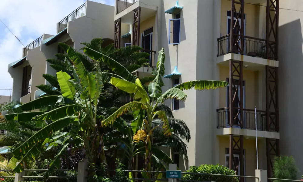 Pingouinvillas, фото 5