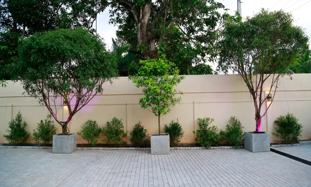 Tranquil Negombo Boutique, фото 4
