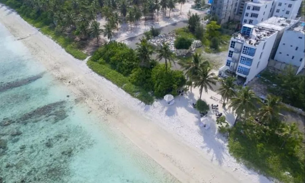 Whiteharp Beach Inn