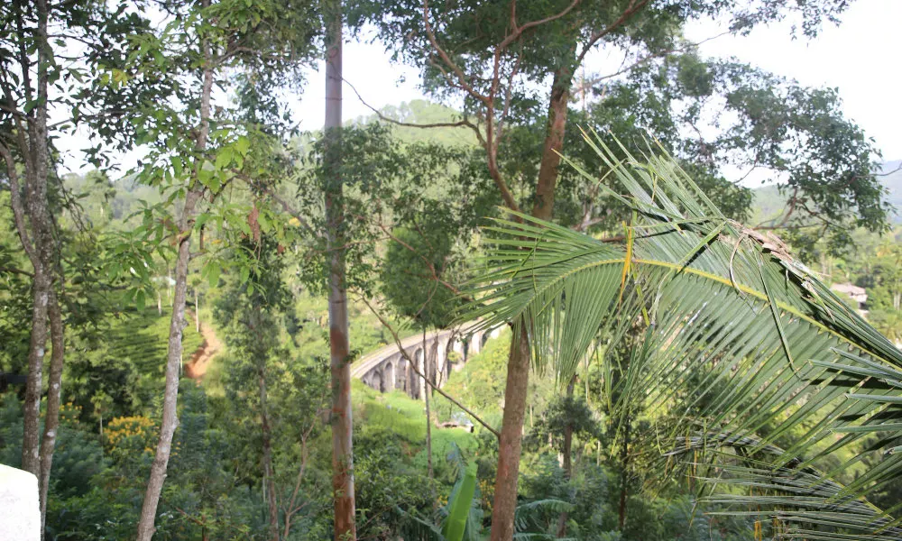 9 Arch View Rest Inn, фото 5