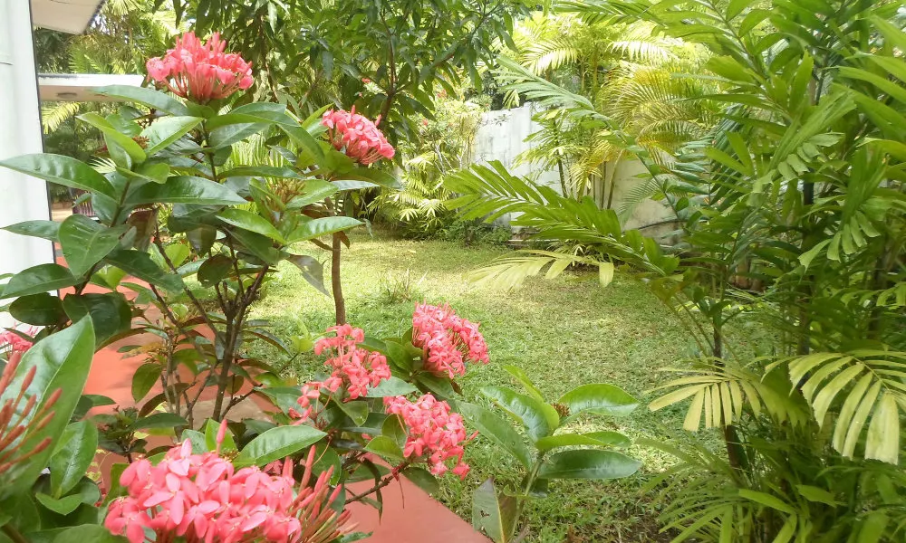 Indrani Inn, фото 3