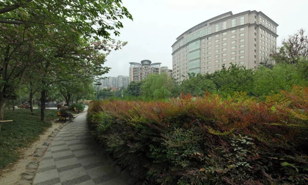 Millennium Hotel Chengdu, фото 4