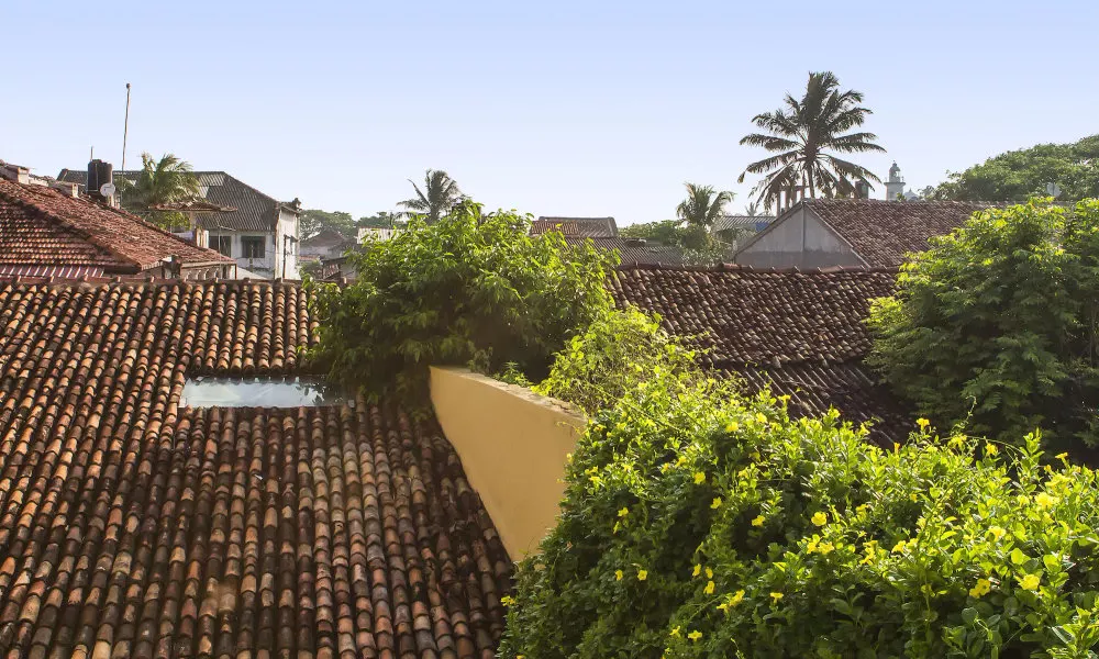 Thambili House, фото 3
