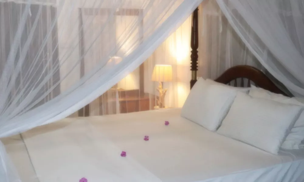 Amadeo Beach Resort, фото 3