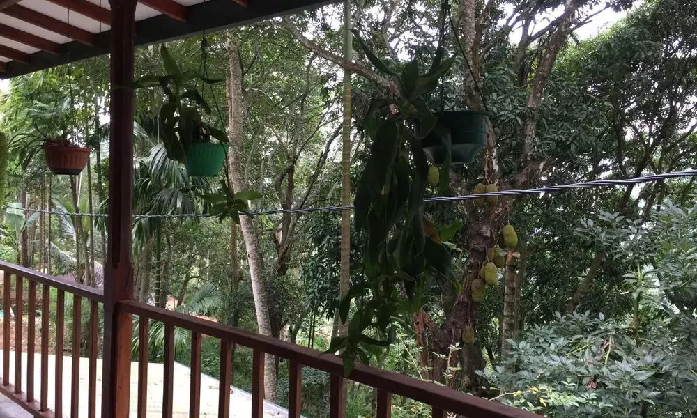 Nature Paradise Guest House, фото 3