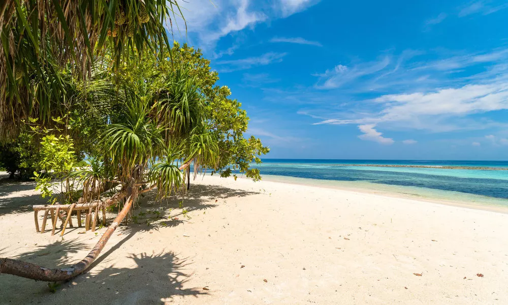 Rasdhoo Holiday Home, фото 4