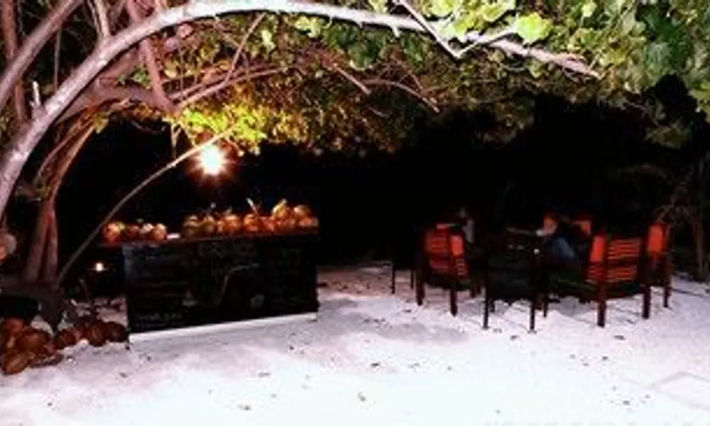 Piculet Royal Beach, фото 4