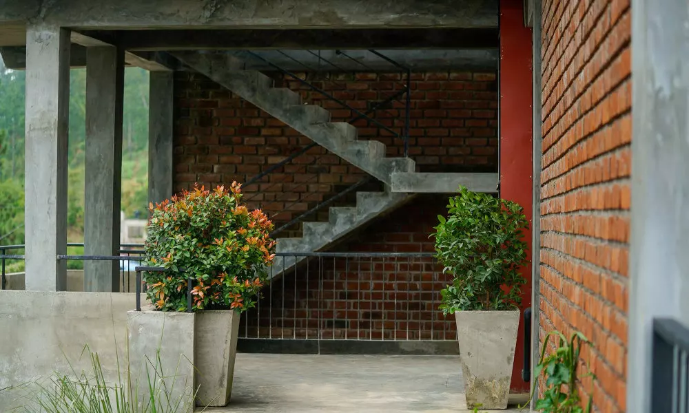 Rawana Den, фото 4