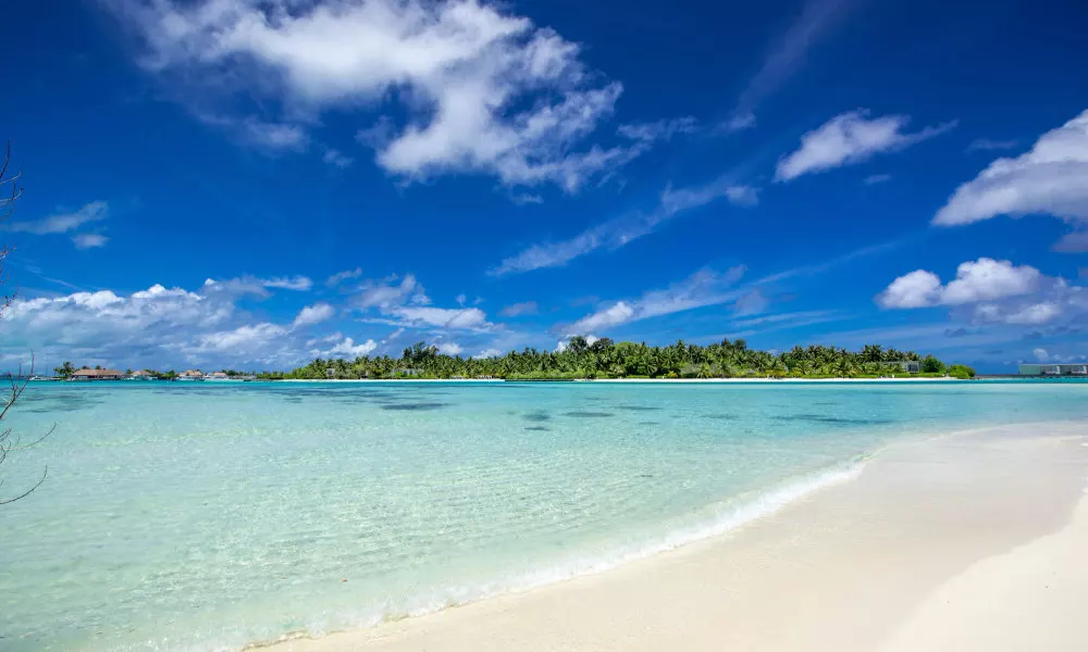 Ithaa Beach Maldives, фото 5