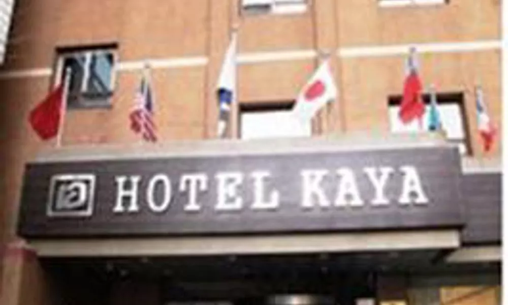 Kaya Tourist Hotel, фото 4