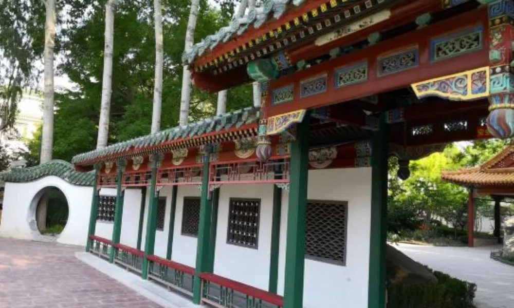 Sichuan Longzhaoshu