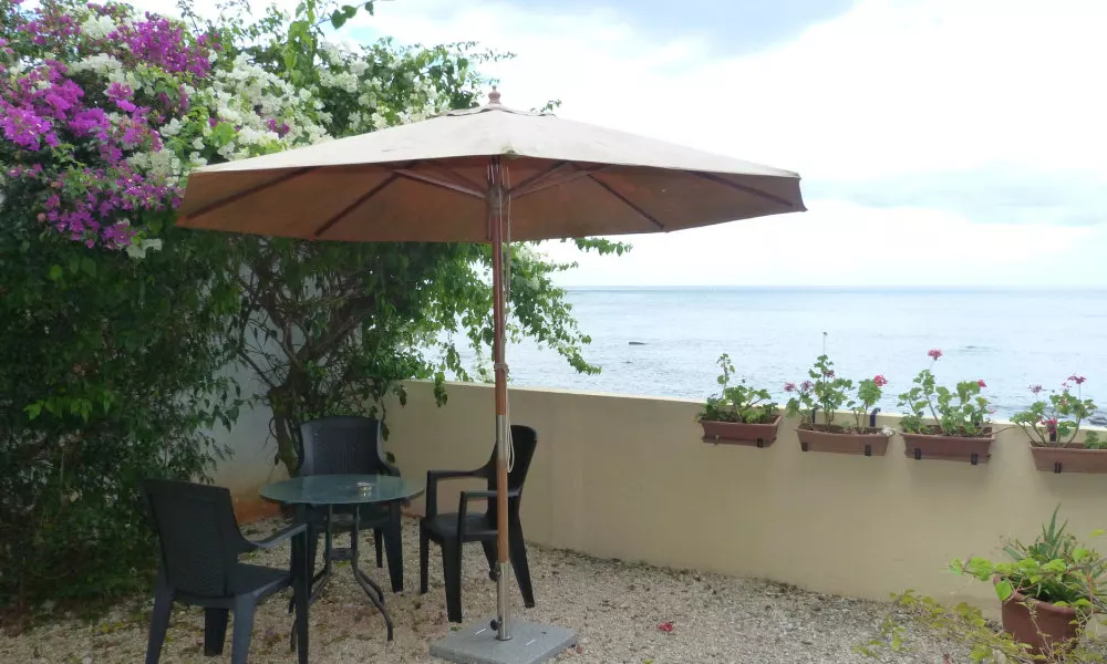 Le Cactus Guesthouse