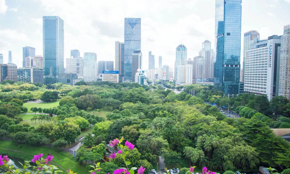 Shenzhen Grand Skylight Garden Hotel, фото 3