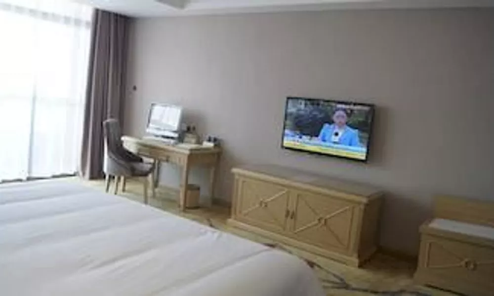 Vienna Hotel, фото 4
