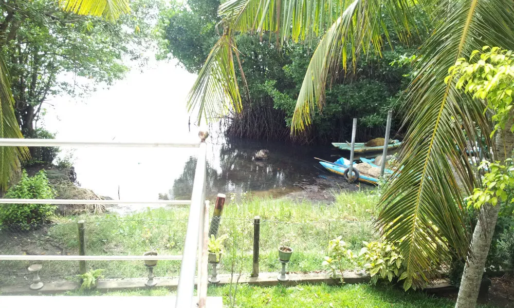 Villa Rosita, фото 2