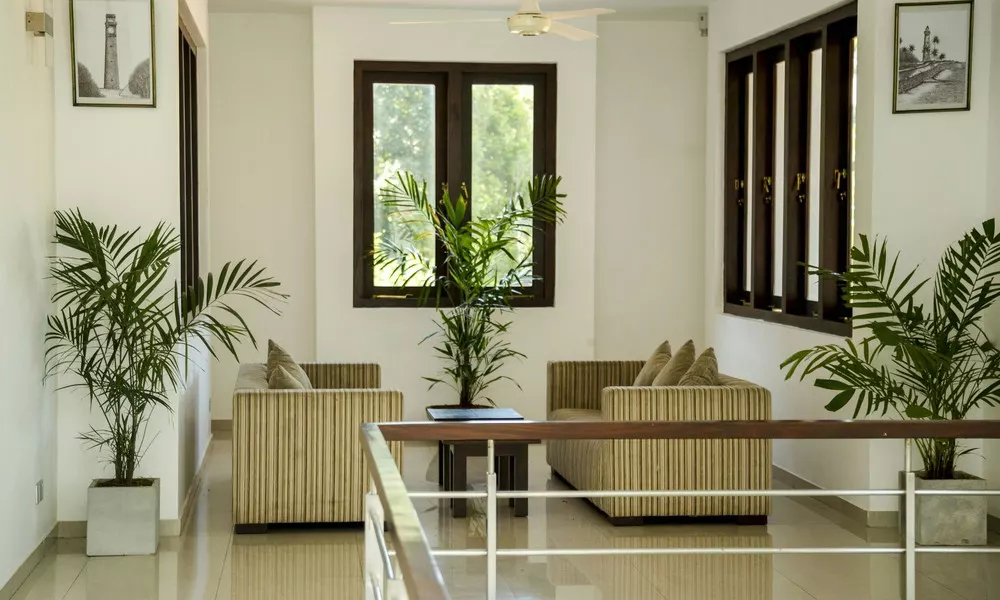 Villa Upper Dickson, фото 4