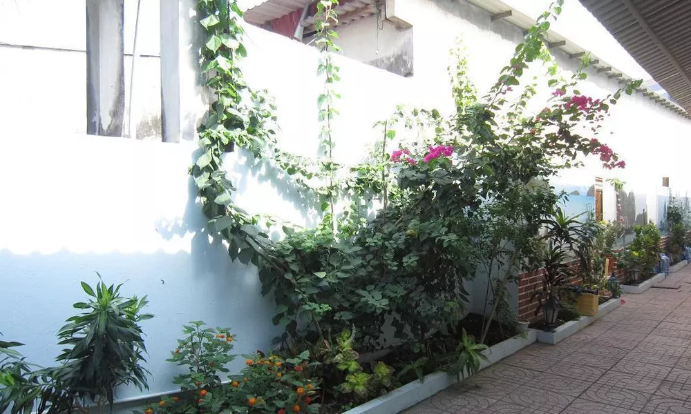 Thien Phu Nghia Guesthouse, фото 3