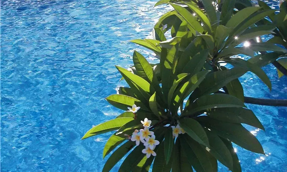 GuestHouse International Hotel Sanya