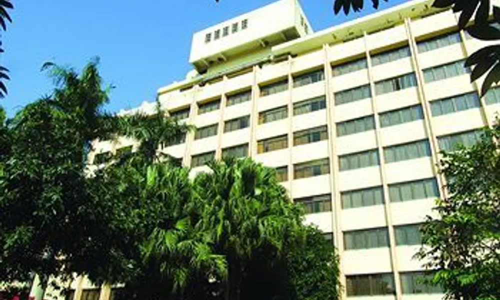 Panyu Miramar Hotel, фото 4