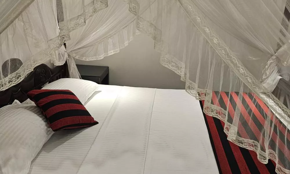 Ridee Villa, фото 2