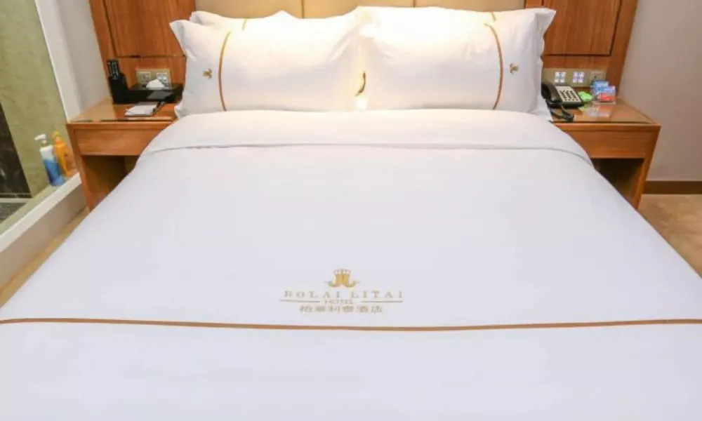Bolailitai Hotel, фото 2