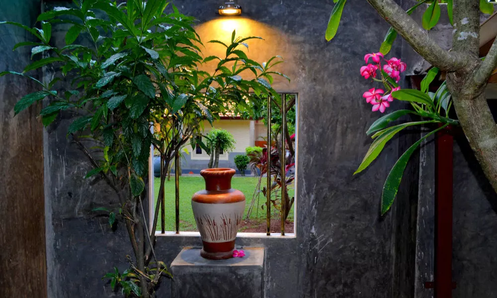 Morning Star Guest House, фото 3