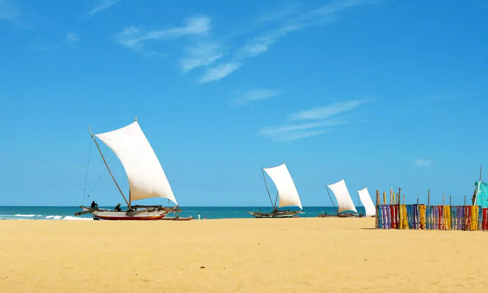 C Negombo, фото 4
