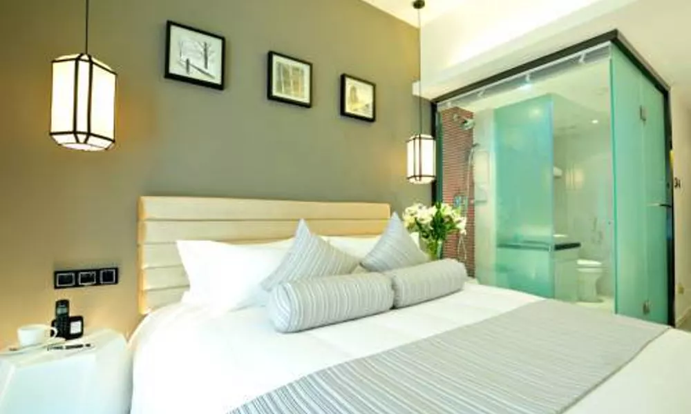Hotel New, фото 2