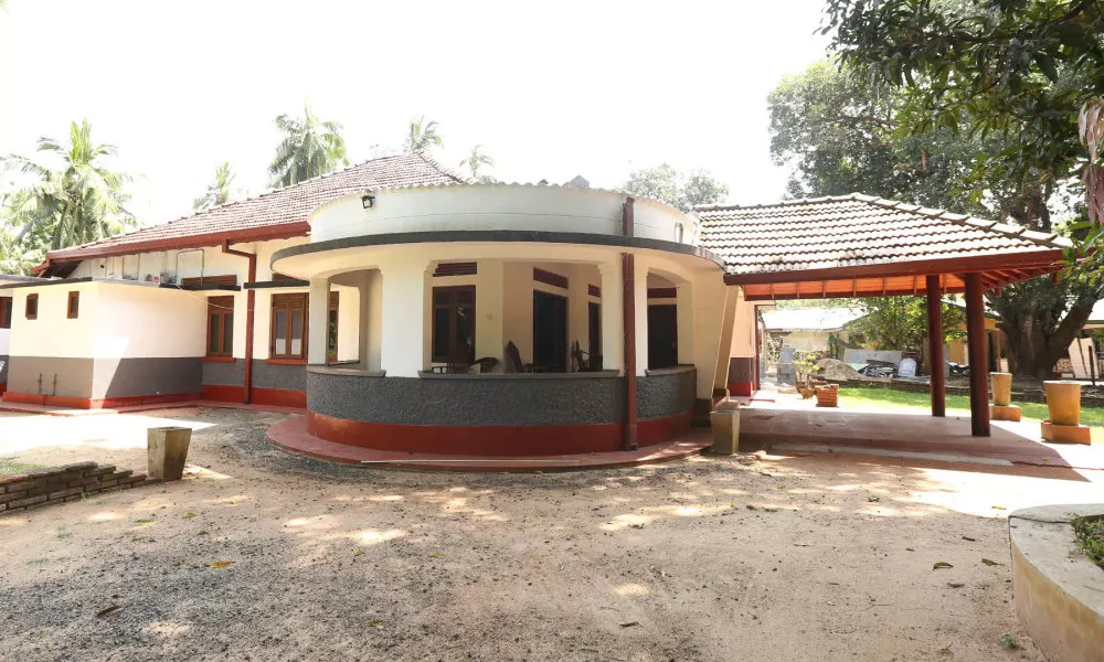 Mango Tree Rest