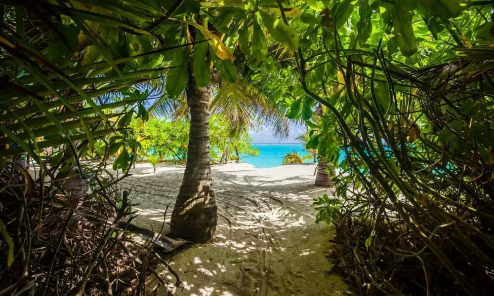 Thoddoo Beach View by Vista, фото 5