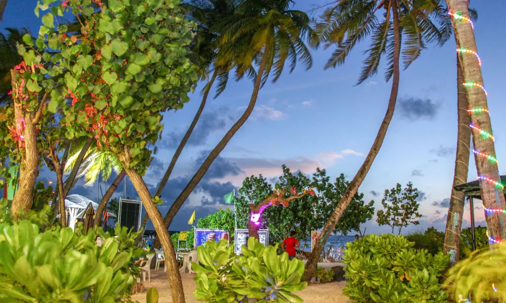 Salt Beach Hotel, фото 5