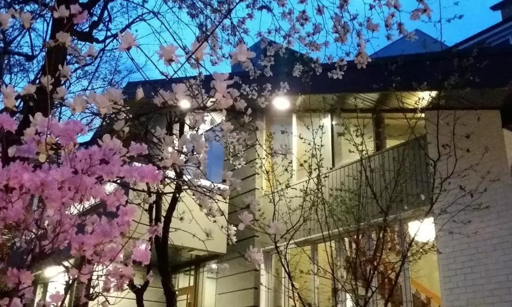 Naru Guesthouse