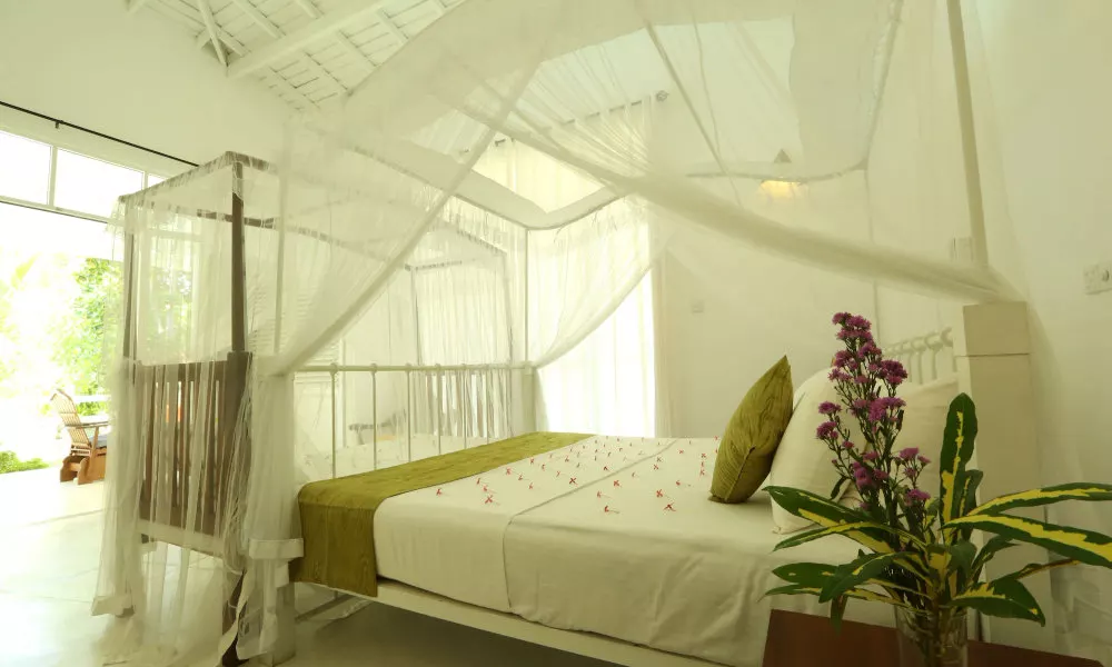 Beach Grove Villas, фото 3