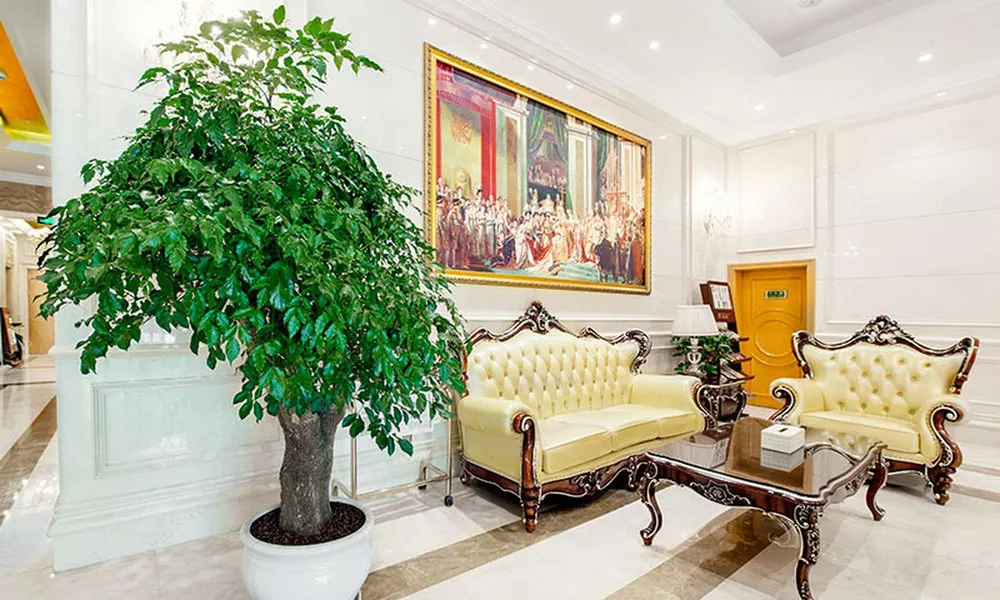Vienna Classic Hotel Shanghai Hongqiao Airport Wuz