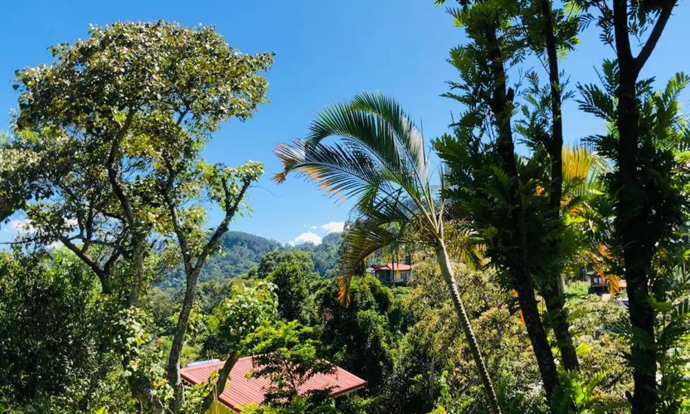 Sudumal Cottage, фото 5