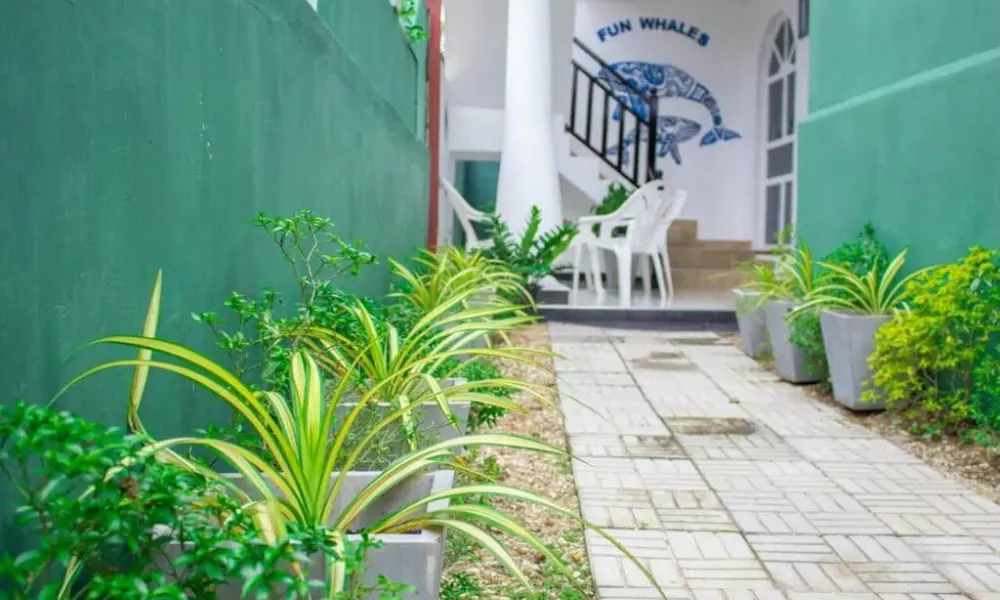 Fun whales Guest house and Hostel, фото 5