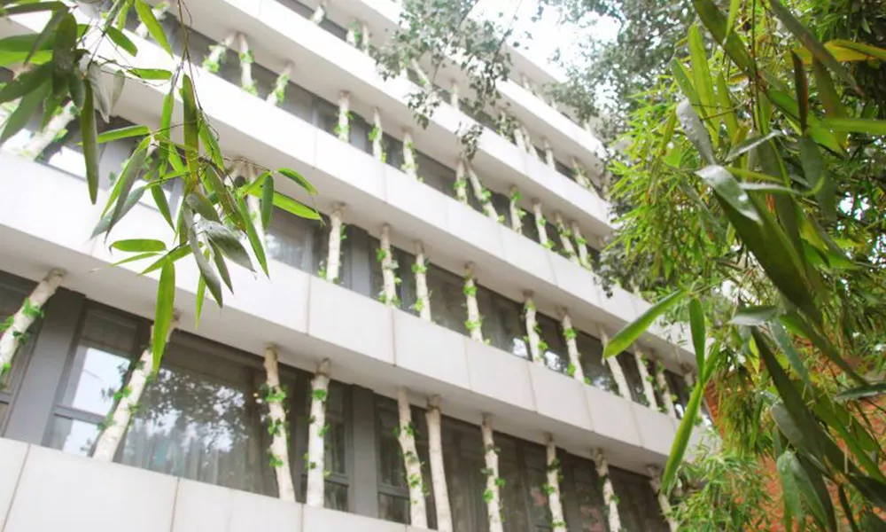 Gotel Capital