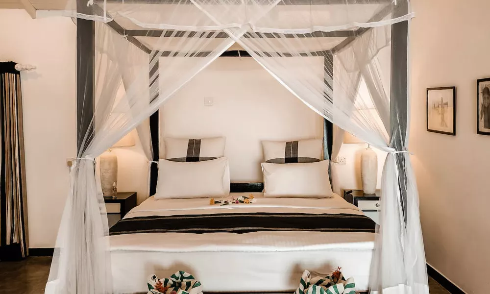 Suite Lanka, фото 2