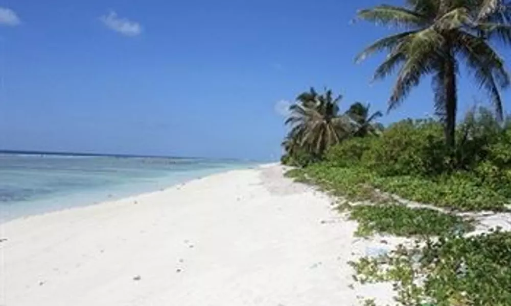 Hulhumale Inn, фото 5