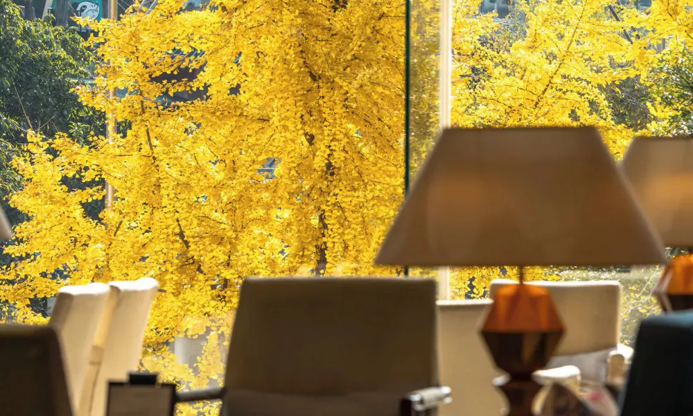 Shangri-La Chengdu, фото 3