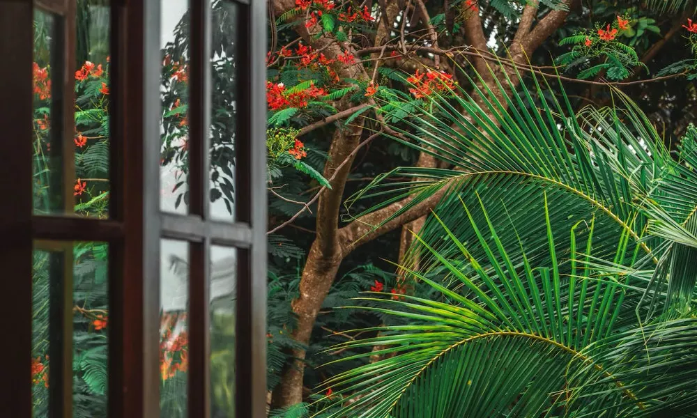Sheraton Sanya Resort, фото 2