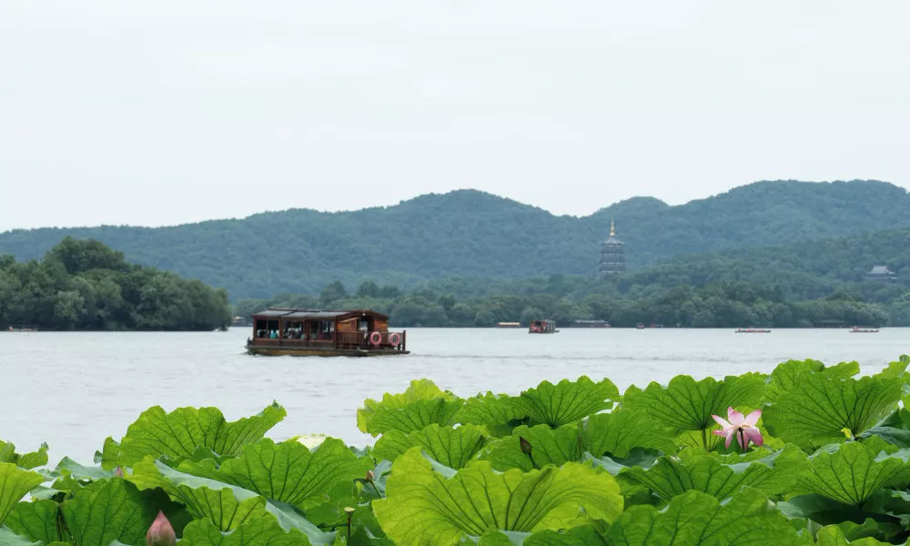 Grand Hyatt Hangzhou, фото 4