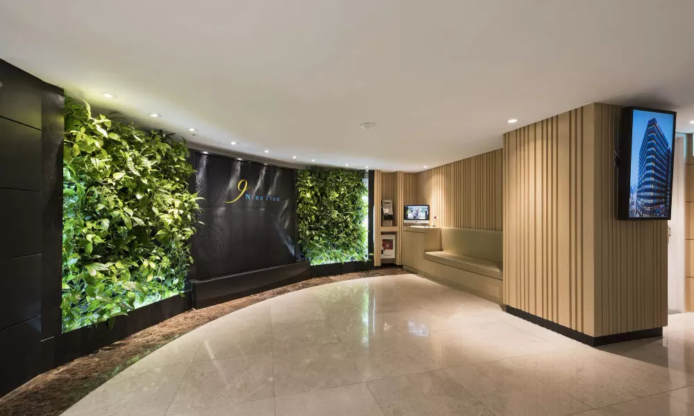 NINE TREE BY PARNAS SEOUL MYEONDONG 1, фото 5