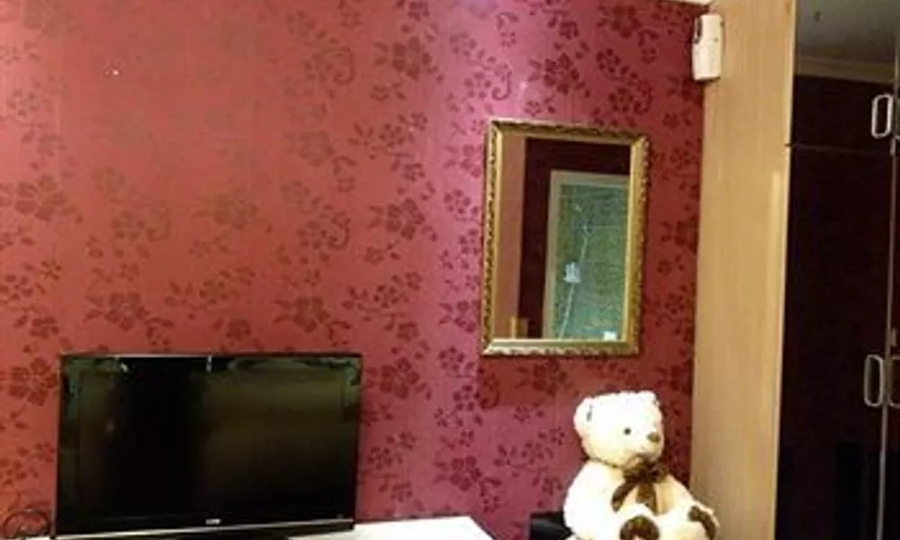 Jiujiu Holiday Hotel, фото 5