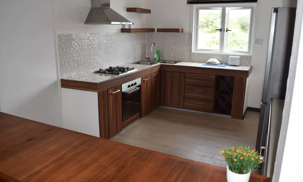 Mountain View Apartment, фото 4